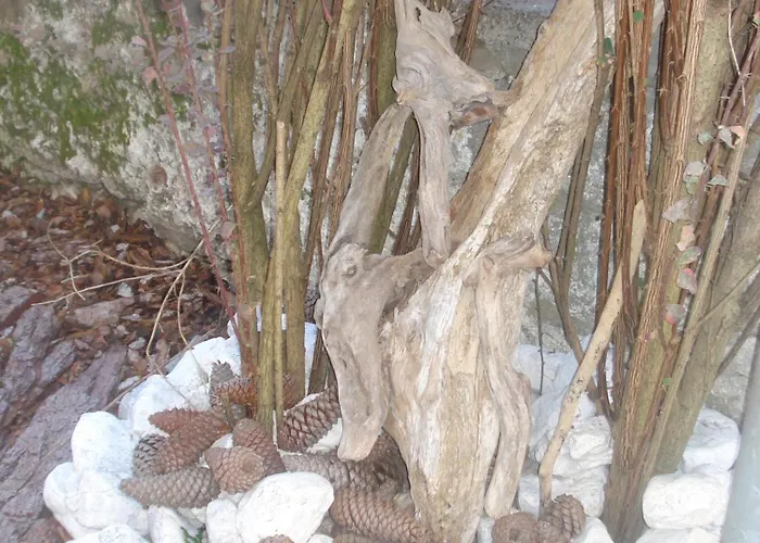 阿尔伯格拉雷斯旅馆 奥伦佐卡多利