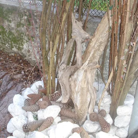 Larese Auronzo di Cadore